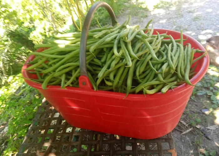 Agriturismo U muinettu La Spezia